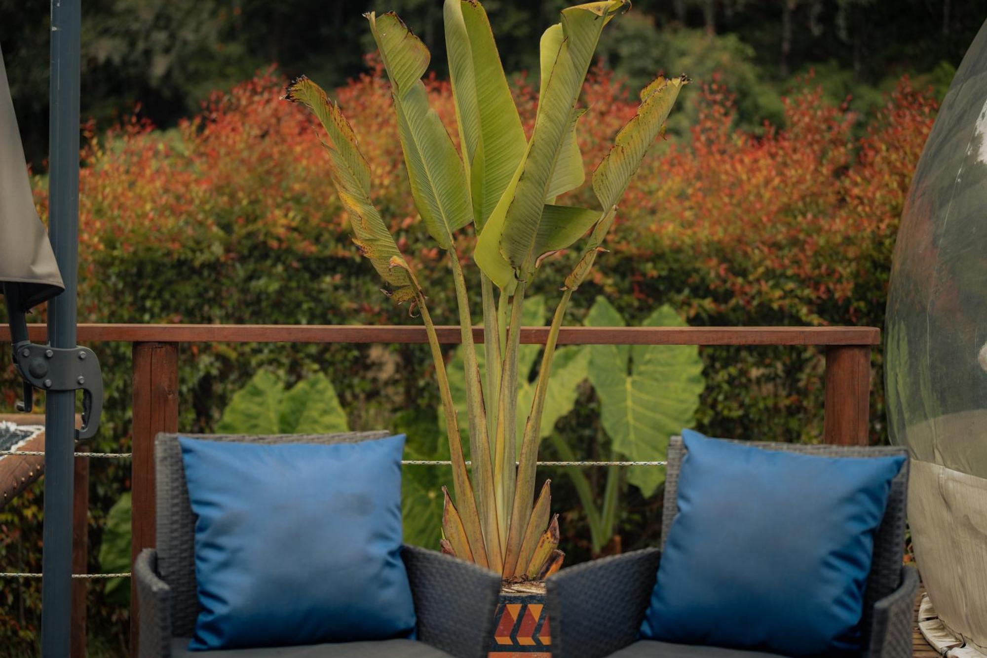 Hotel Bubblesky Glamping 15 Min From Medellin Rionegro Exterior foto